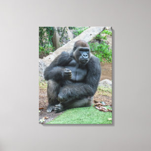 Leinwand Gorilla am Zoo