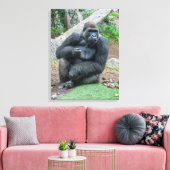 Leinwand Gorilla am Zoo (Insitu (Wohnzimmer))