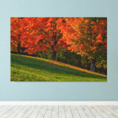 Leinwand Herbst in New England (Insitu (Holzboden))