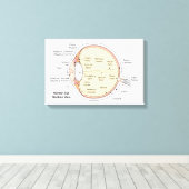 Leinwand Human Eye Ball Anatomisches Diagramm (Insitu (Holzboden))