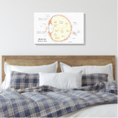 Leinwand Human Eye Ball Anatomisches Diagramm (Insitu (Schlafzimmer))
