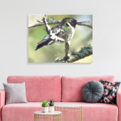 Leinwand Hummingbird (Insitu (Wohnzimmer))