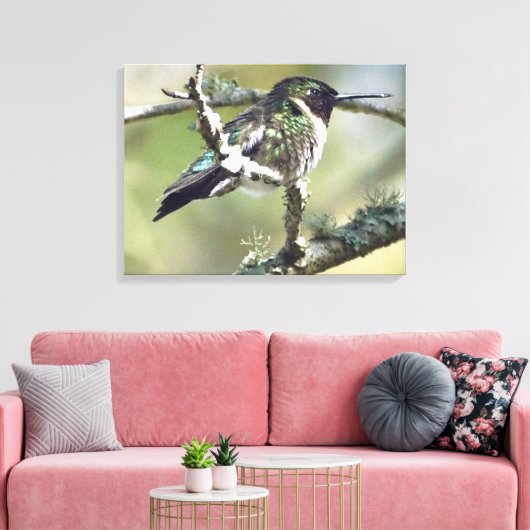 Leinwand Hummingbird (Insitu (Wohnzimmer))
