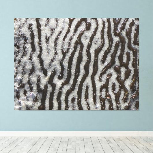 Leinwand in KELP | m3galleryStudio (Insitu (Holzboden))