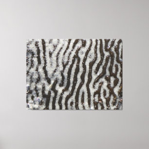 Leinwand in KELP   m3galleryStudio