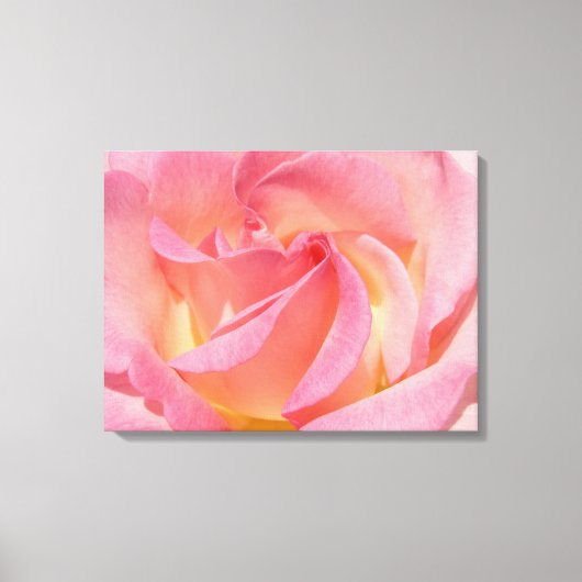 Leinwand-Kunst druckt rosa Rosen-Blumen-Spirale Leinwanddruck (Vorderseite)