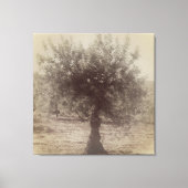 LEINWAND KUNST UND DESIGN WALL (Vorderseite)