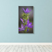 Leinwand lila Delight Gallery (Insitu (Holzboden))