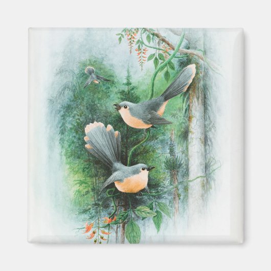 Leinwand Magnet (Vorne)