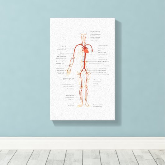 Leinwand Menschliches Kreislaufsystem (Insitu (Holzboden))