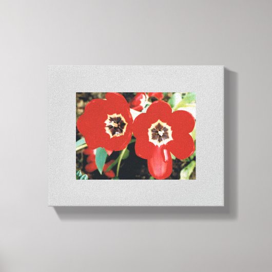 Leinwand mit Roten Tulips (Vorderseite)