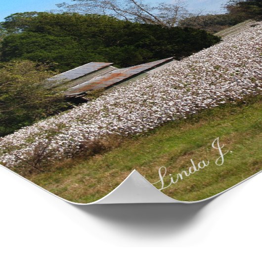 Leinwand oder Poster für Baumwolle und Stall (Ecke)