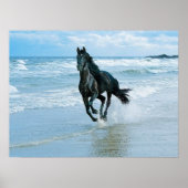 Leinwand Poster (Vorne)