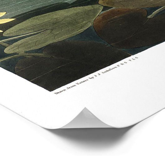 Leinwand Poster (Ecke)