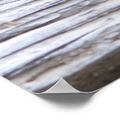 Leinwand Poster in der Größe Paintschildkröte auf (Ecke)