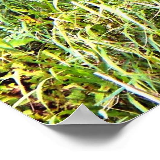 Leinwand-Poster Poster (Ecke)