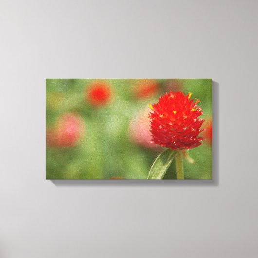 Leinwand Red Clover Art (Vorderseite)