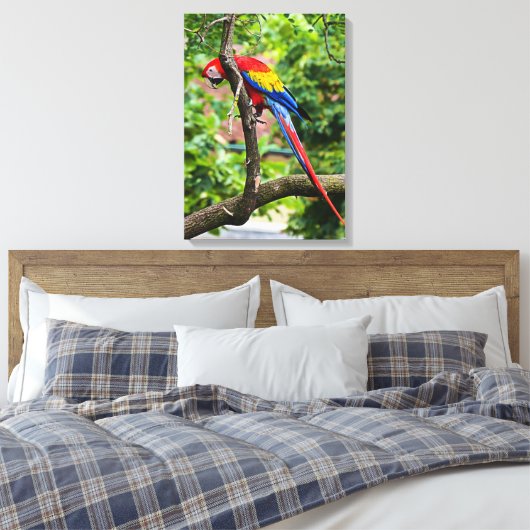 Leinwand Red Macaw Wall Art (Insitu (Schlafzimmer))