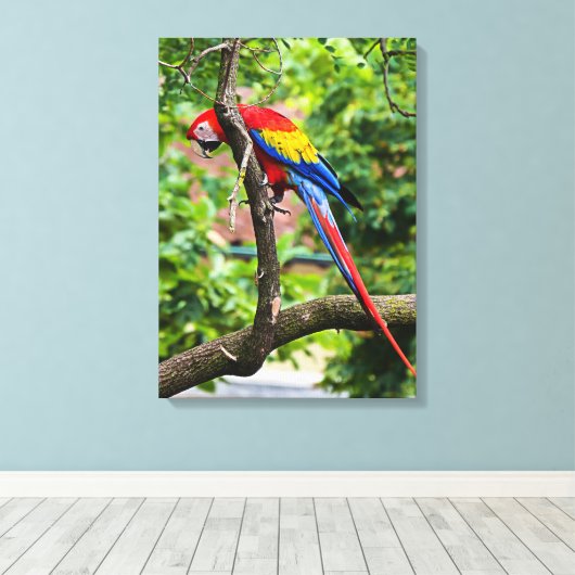 Leinwand Red Macaw Wall Art (Insitu (Holzboden))
