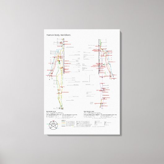 Leinwand Schematische Chinesische Meridiane (Vorderseite)