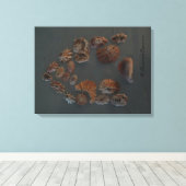 Leinwand (SeaShell House) RFPMDesign ©️ 2012 (Insitu (Holzboden))