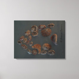 Leinwand (SeaShell House) RFPMDesign ©️ 2012