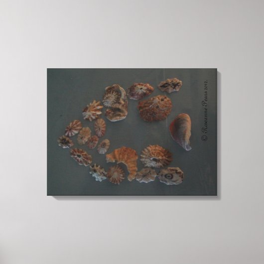 Leinwand (SeaShell House) RFPMDesign ©️ 2012 (Vorderseite)