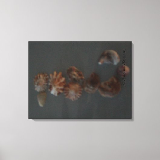 Leinwand (SeaShell-Seepferd) RFPMDesign ©️ 2012 (Vorderseite)