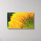 Leinwand Sonnenblumen (Vorderseite)