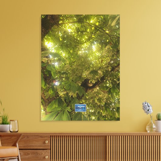 Leinwand (Sun Green Tree 1) RFPMDesign ©️ 2021/24 (Insitu (Wohnzimmer))