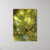 Leinwand (Sun Green Tree 1) RFPMDesign ©️ 2021/24 (Vorderseite)