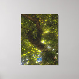 Leinwand (Sun Green Tree 2) RFPMDesign ©️ 2021/24