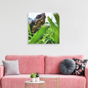 Leinwand Turtle Nah