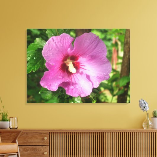 Leinwand - überzogen - Rosa Rose von Sharon (Insitu (Wohnzimmer))