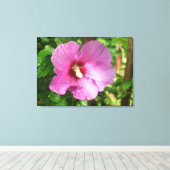 Leinwand - überzogen - Rosa Rose von Sharon (Insitu (Holzboden))