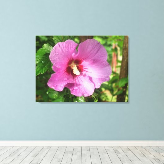 Leinwand - überzogen - Rosa Rose von Sharon (Insitu (Holzboden))