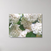 Leinwand - überzogen - Weiße Hydrangeas l (Vorderseite)