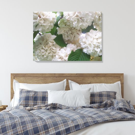 Leinwand - überzogen - Weiße Hydrangeas l (Insitu (Schlafzimmer))