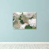 Leinwand - überzogen - Weiße Hydrangeas l (Insitu (Holzboden))