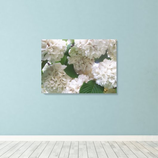 Leinwand - überzogen - Weiße Hydrangeas l (Insitu (Holzboden))