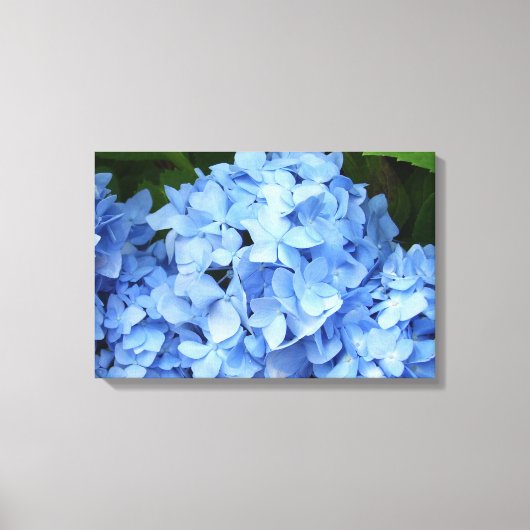 Leinwand - umhüllt - Blaues Hydrangea (Vorderseite)