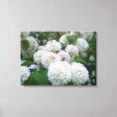 Leinwand - ummantelt - Hydrangeas ll (Vorderseite)