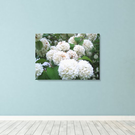 Leinwand - ummantelt - Hydrangeas ll (Insitu (Holzboden))