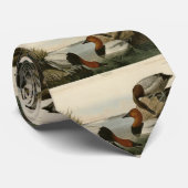 Leinwand unterstützt Ente von Audubons Vögeln Amer Krawatte (Gerollt)