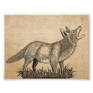 Leinwand-Vintager Heulenwolf 7" x 5", Fotodruck
