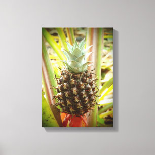 Leinwand von Ananas