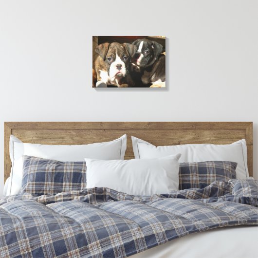 Leinwand von Boxerwelpen (Insitu (Schlafzimmer))