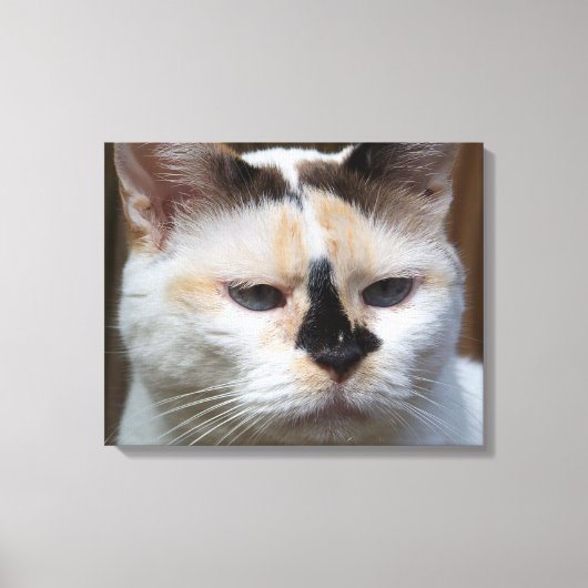Leinwand von Cream Calico 20"x16" (Vorderseite)