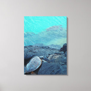 Leinwand von Kiholo Bay Hawaii und Meeresschildkrö