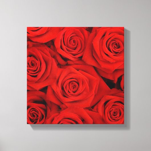 Leinwand Wall Art-Rote Rosen (Vorderseite)